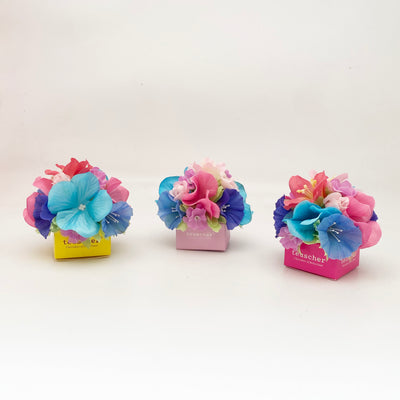 Hortensia Praline Box (2 Pralines)
