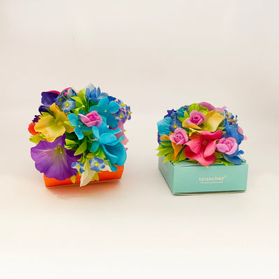 Hortensia Truffle Box (6 Truffles)