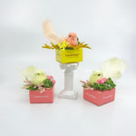 Lovebirds Box (2 Pralines)