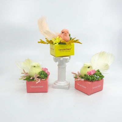 Lovebirds Box (2 Pralines)